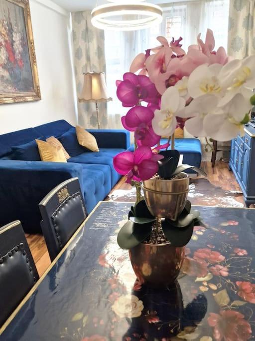 Royal Im Tilly Boardinghouse Apartment Hannoversch Münden
